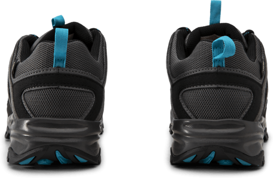 alteo gtx north face