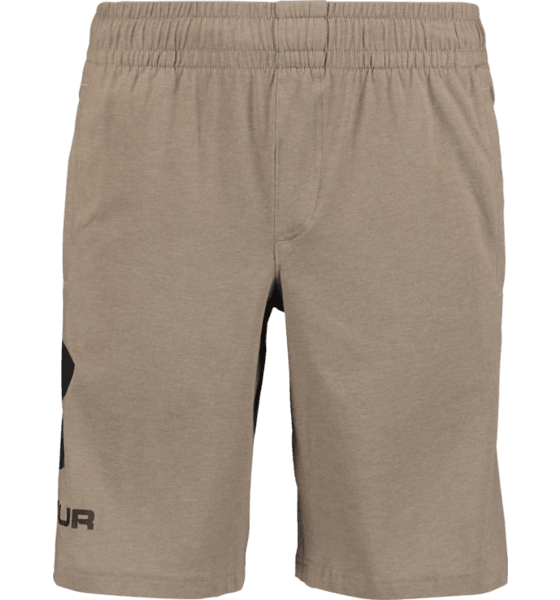 under armour sportstyle graphic short