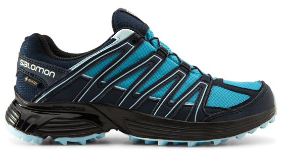 mens xt asama gtx running shoes