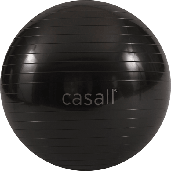 
350869102101,
Gym ball 70-75cm,
CASALL,
Detail

