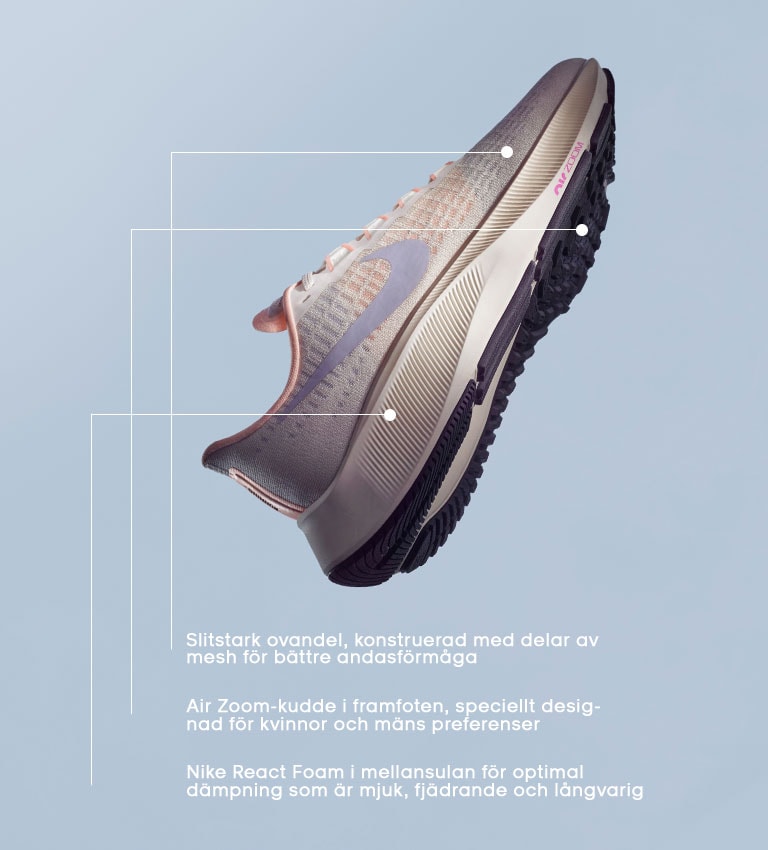 stadium nike pegasus 37