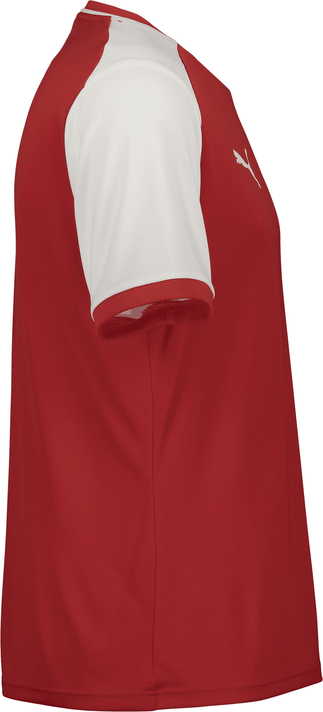 Puma, TEAMLIGA26 MATCHDAY JERSEY JR-102424, Unknown 0