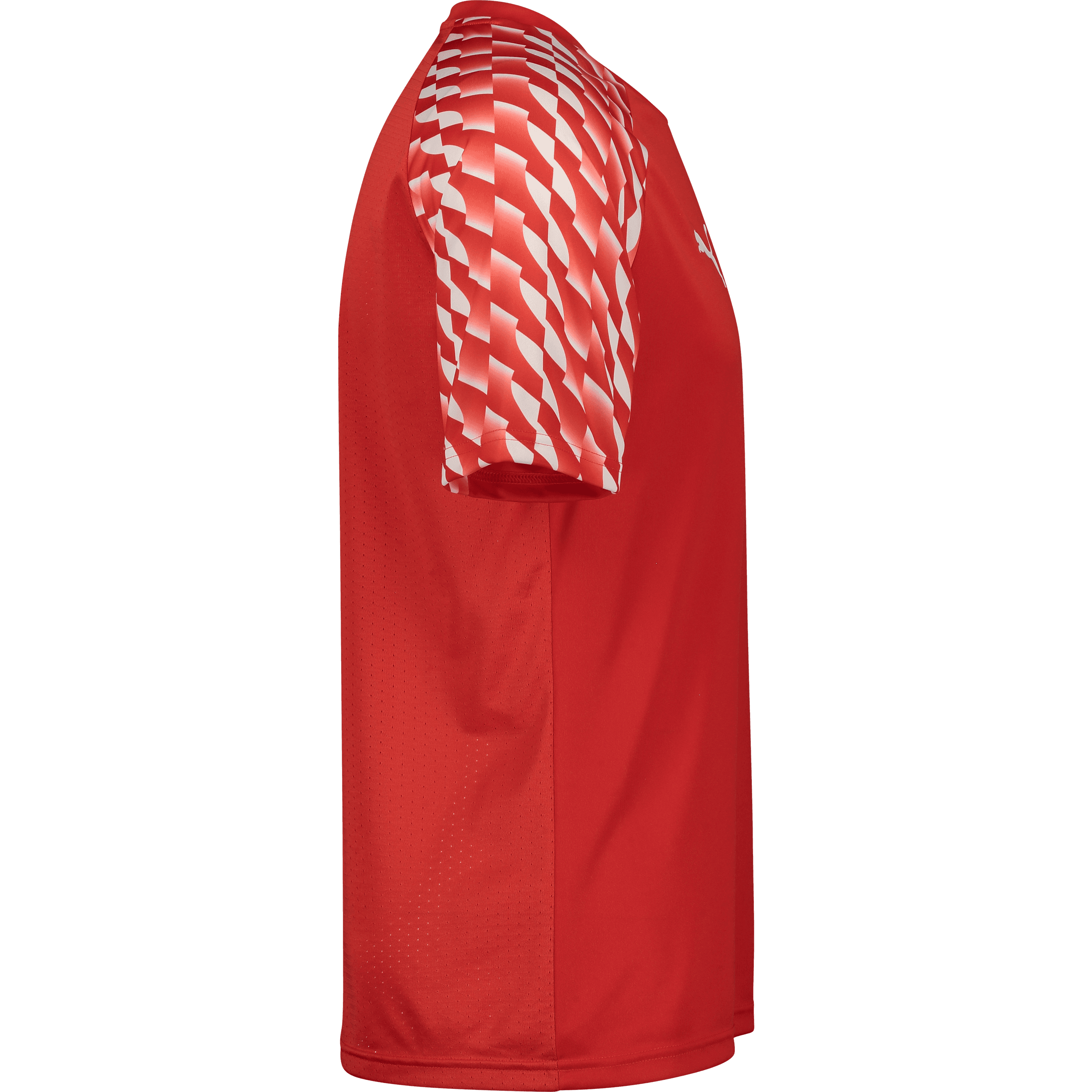 Puma, TEAMLIGA26 JERSEY-117797, Unknown 0