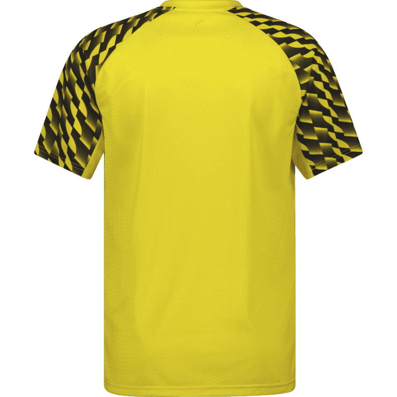 Puma, TEAMLIGA26 JERSEY-121563, Unknown 0