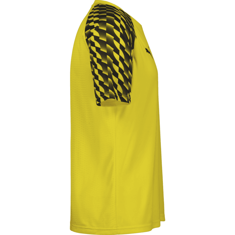 Puma, TEAMLIGA26 JERSEY-121563, Unknown 0