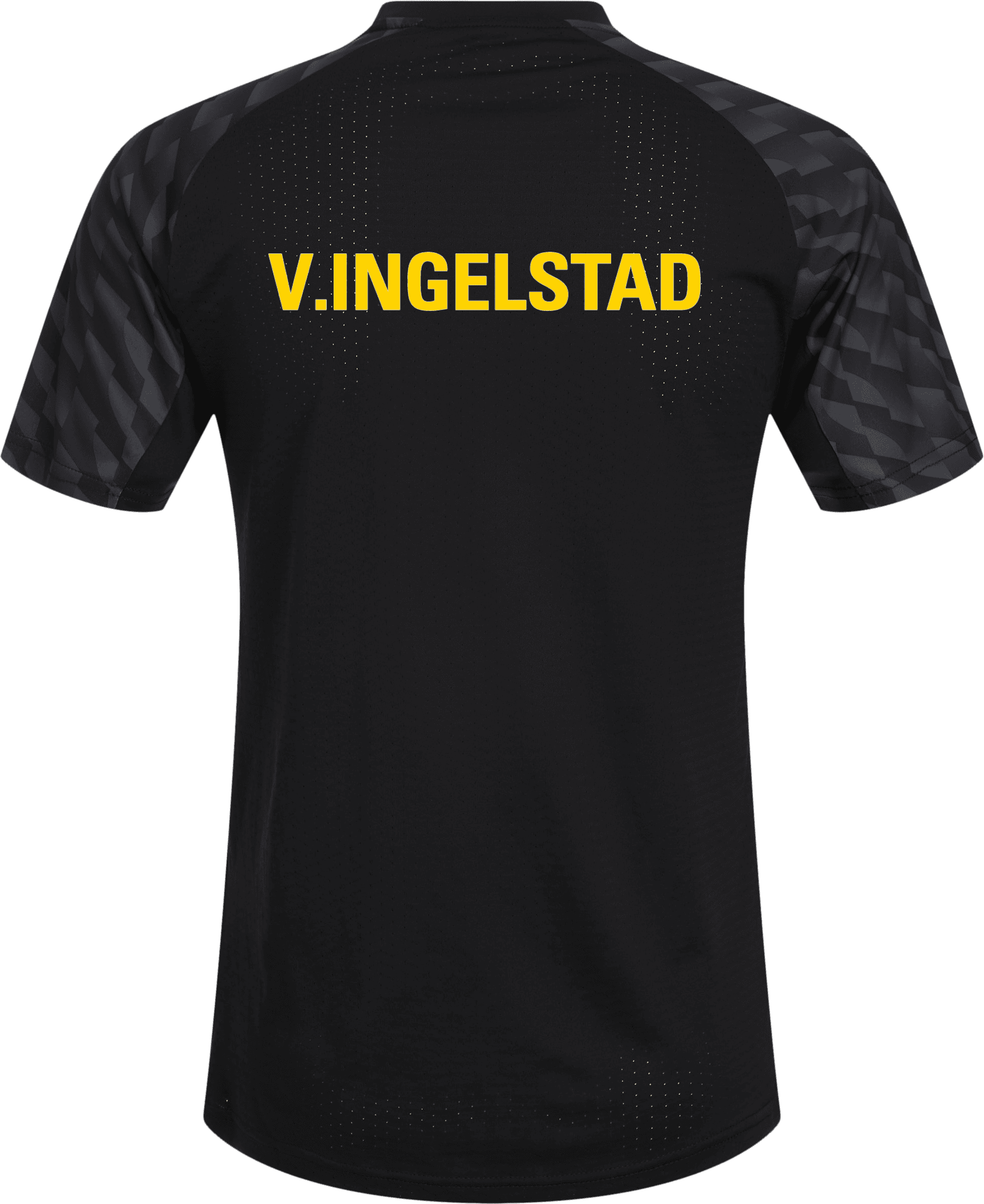 Puma, TEAMLIGA26 JERSEY-123024, Unknown 0