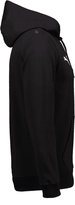 Puma, T Goal Casual Hood Sr-124493, Unknown 0