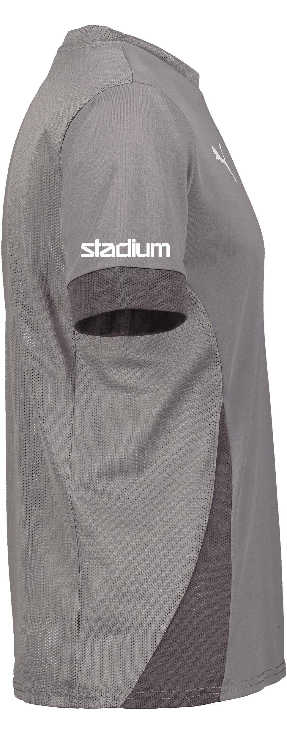 Puma, Sibf Ref-124560, Unknown 0