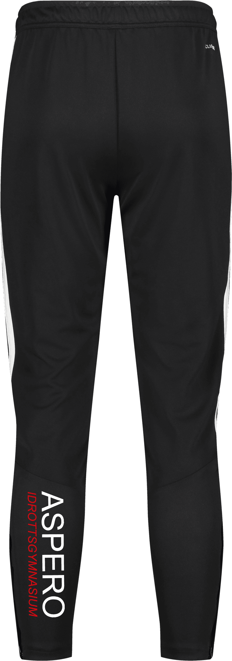 Adidas, TIRO26 L PNT-12459, Unknown 0