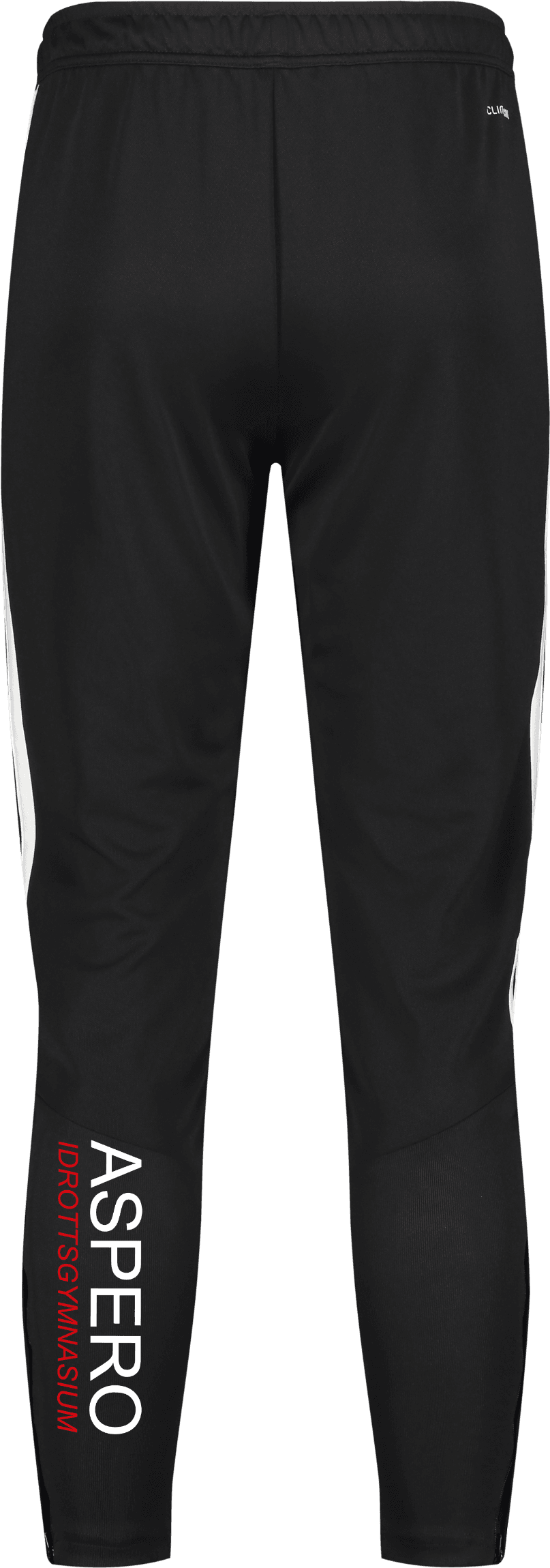 Adidas, TIRO26 L PNT-12546, Unknown 0
