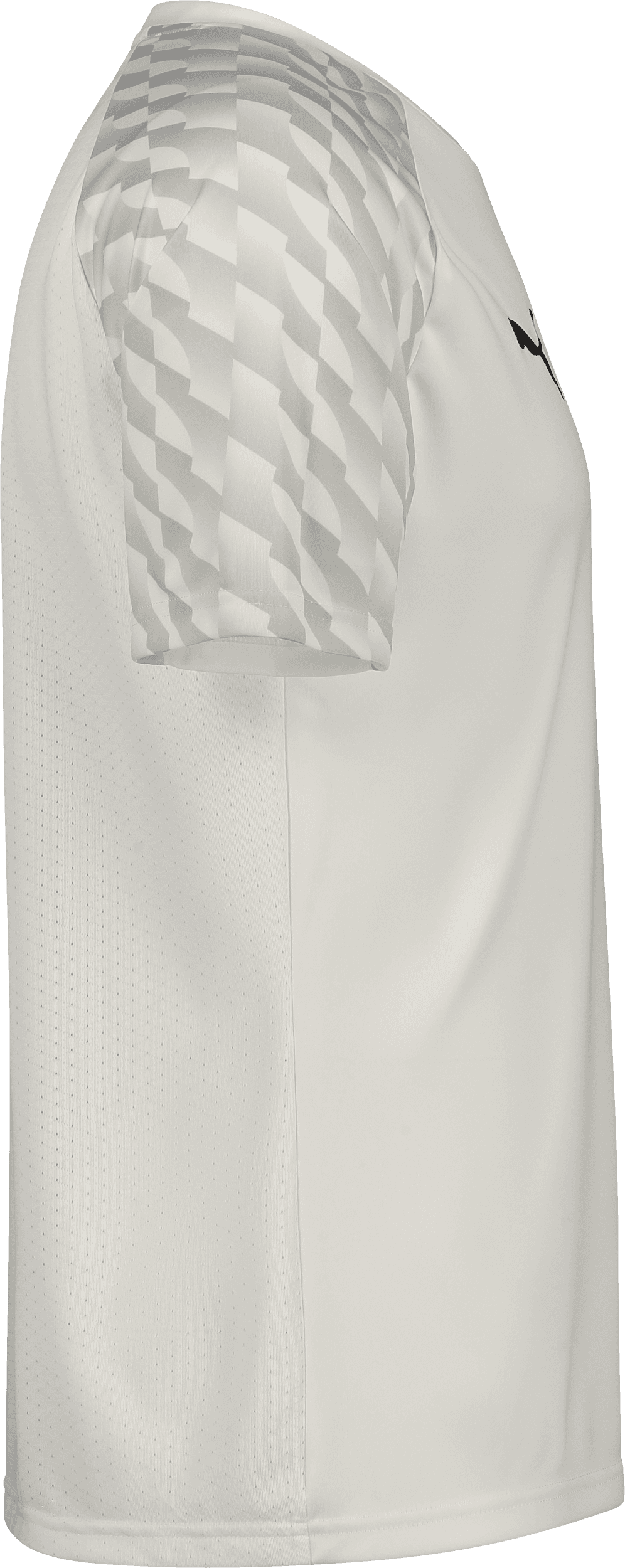 Puma, TEAMLIGA26 JERSEY JR-131560, Unknown 0