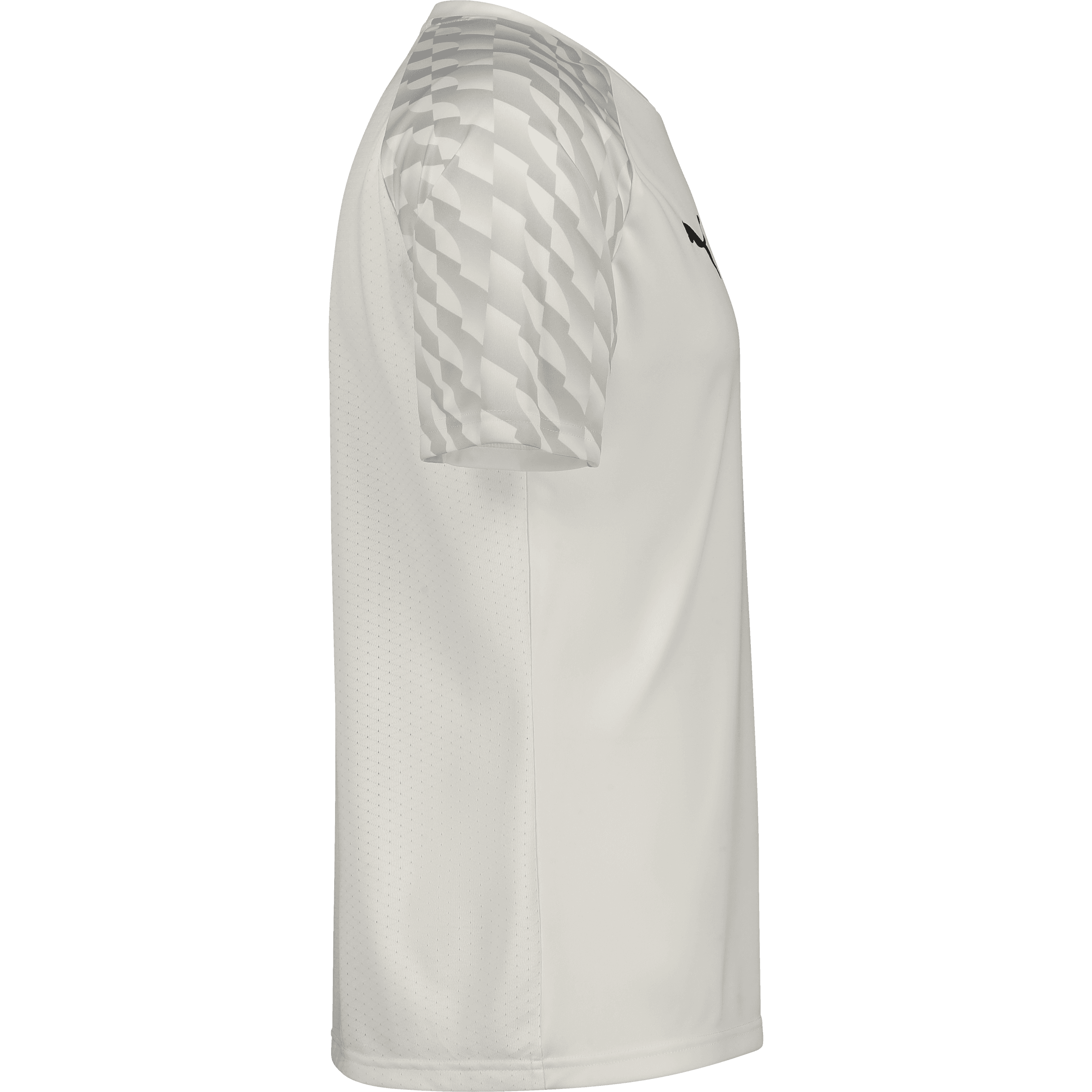 Puma, TEAMLIGA26 JERSEY-131573, Unknown 0