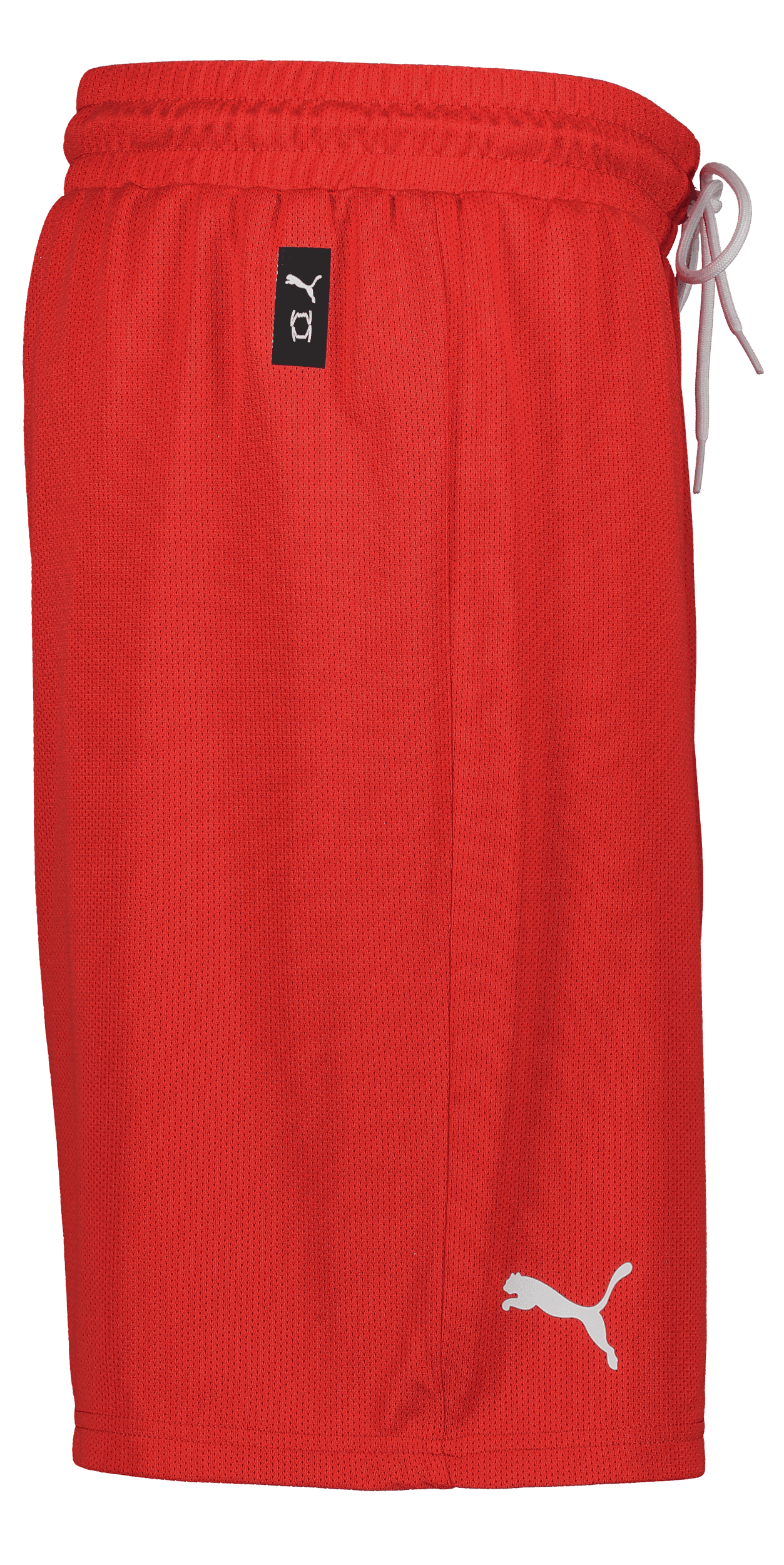 Puma, Hoops Team Junior Practice Short-136141, Unknown 0