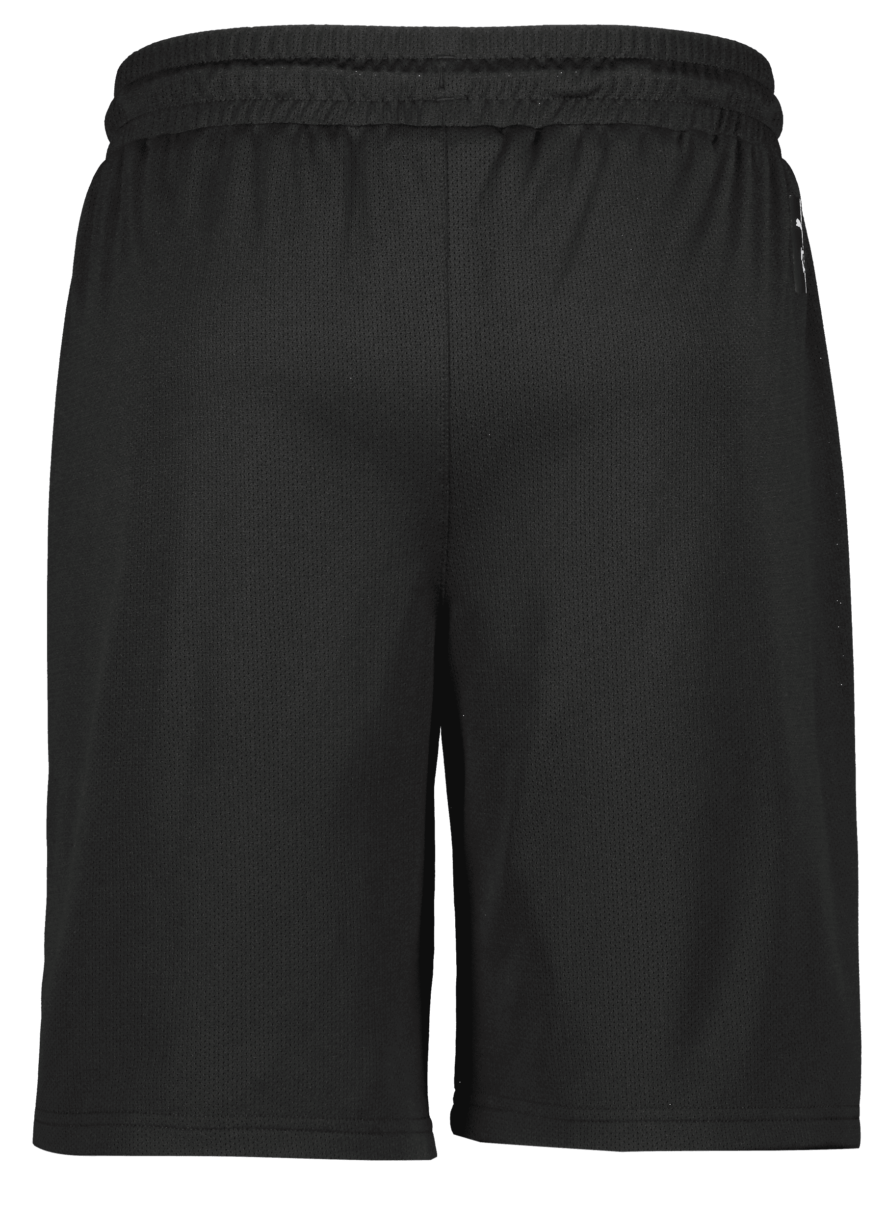 Puma, Hoops Team Junior Practice Short-136149, Unknown 0