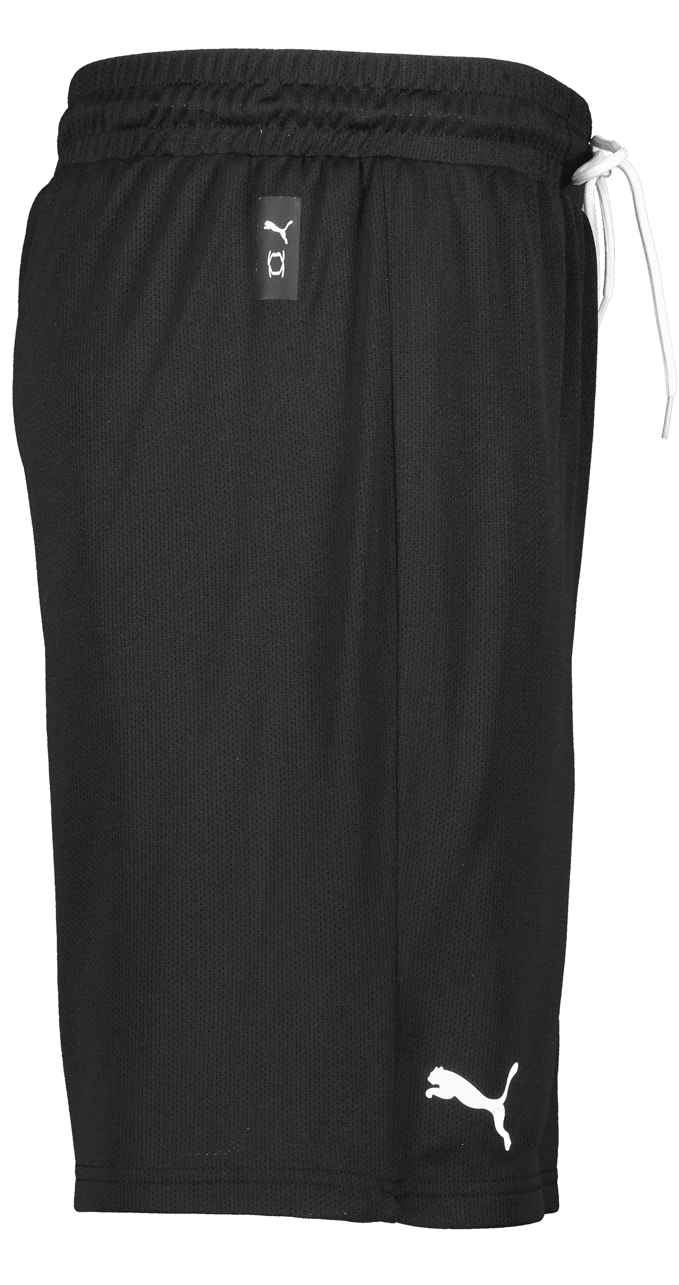 Puma, Hoops Team Junior Practice Short-136149, Unknown 0