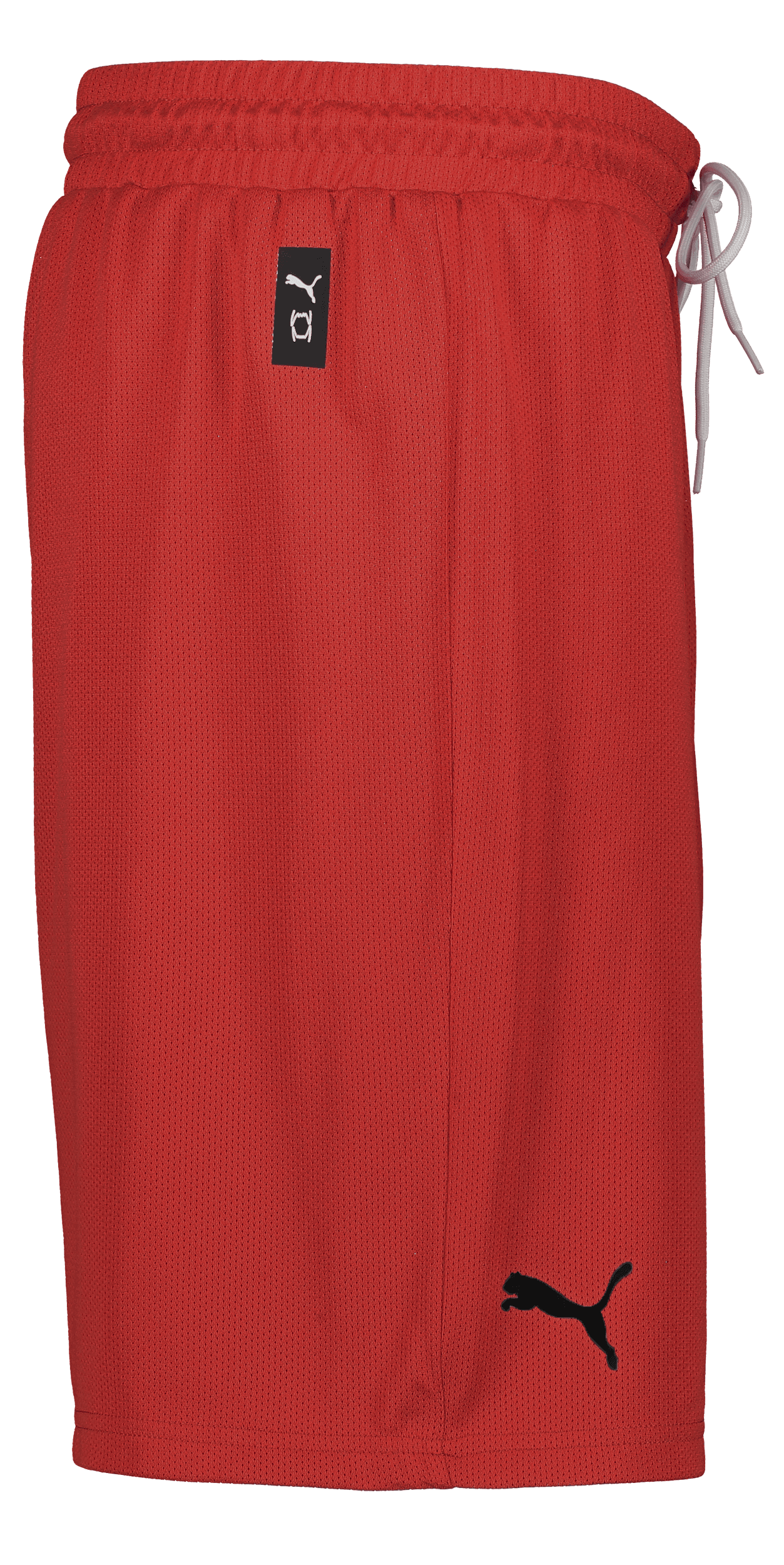 Puma, Hoops Team Junior Practice Short-136245, Unknown 0