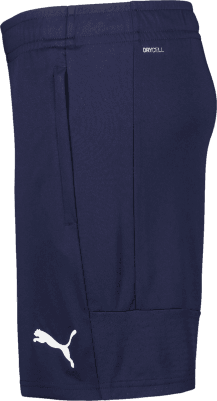 Puma, TEAMLIGA TRAINING SHORTS-139662, Unknown 0