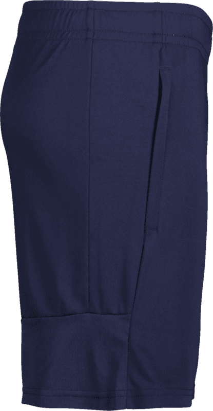 Puma, TEAMLIGA TRAINING SHORTS-139662, Unknown 0