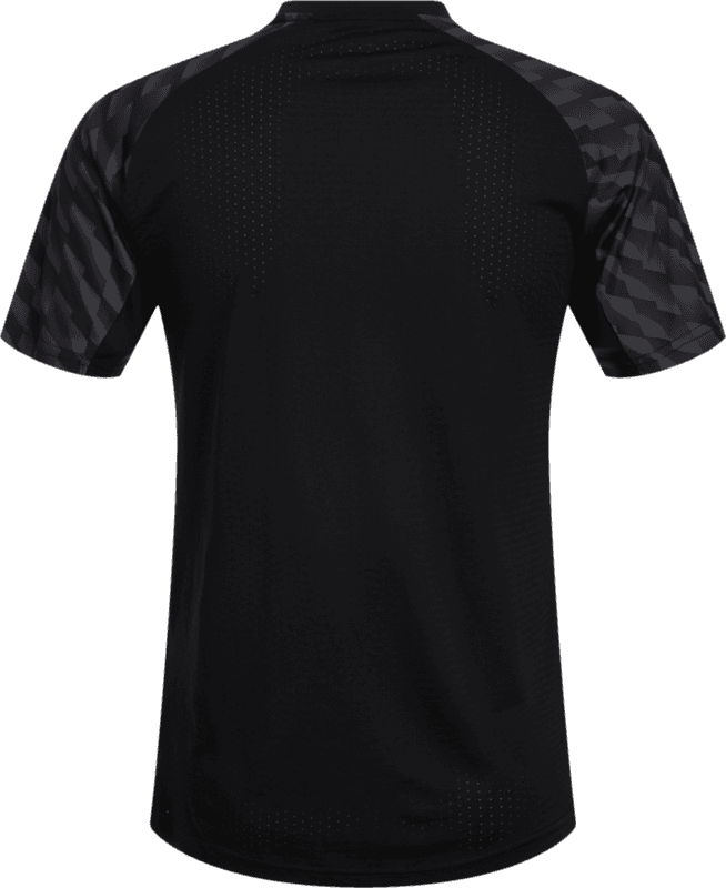 Puma, TEAMLIGA26 JERSEY-146333, Unknown 0