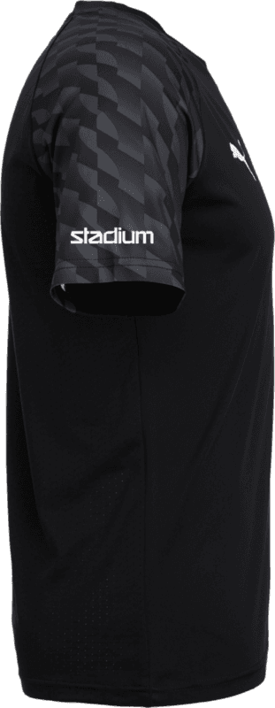 Puma, TEAMLIGA26 JERSEY-146333, Unknown 0