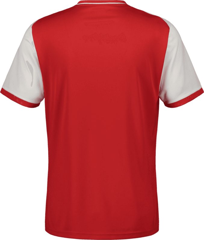 Puma, TEAMLIGA26 MATCHDAY JERSEY JR-146738, Unknown 0