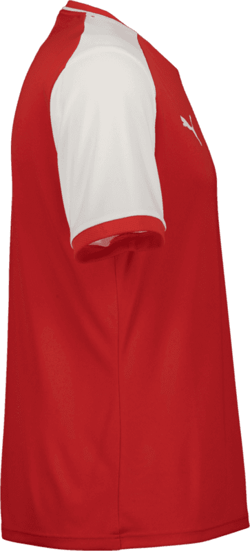Puma, TEAMLIGA26 MATCHDAY JERSEY JR-146738, Unknown 0