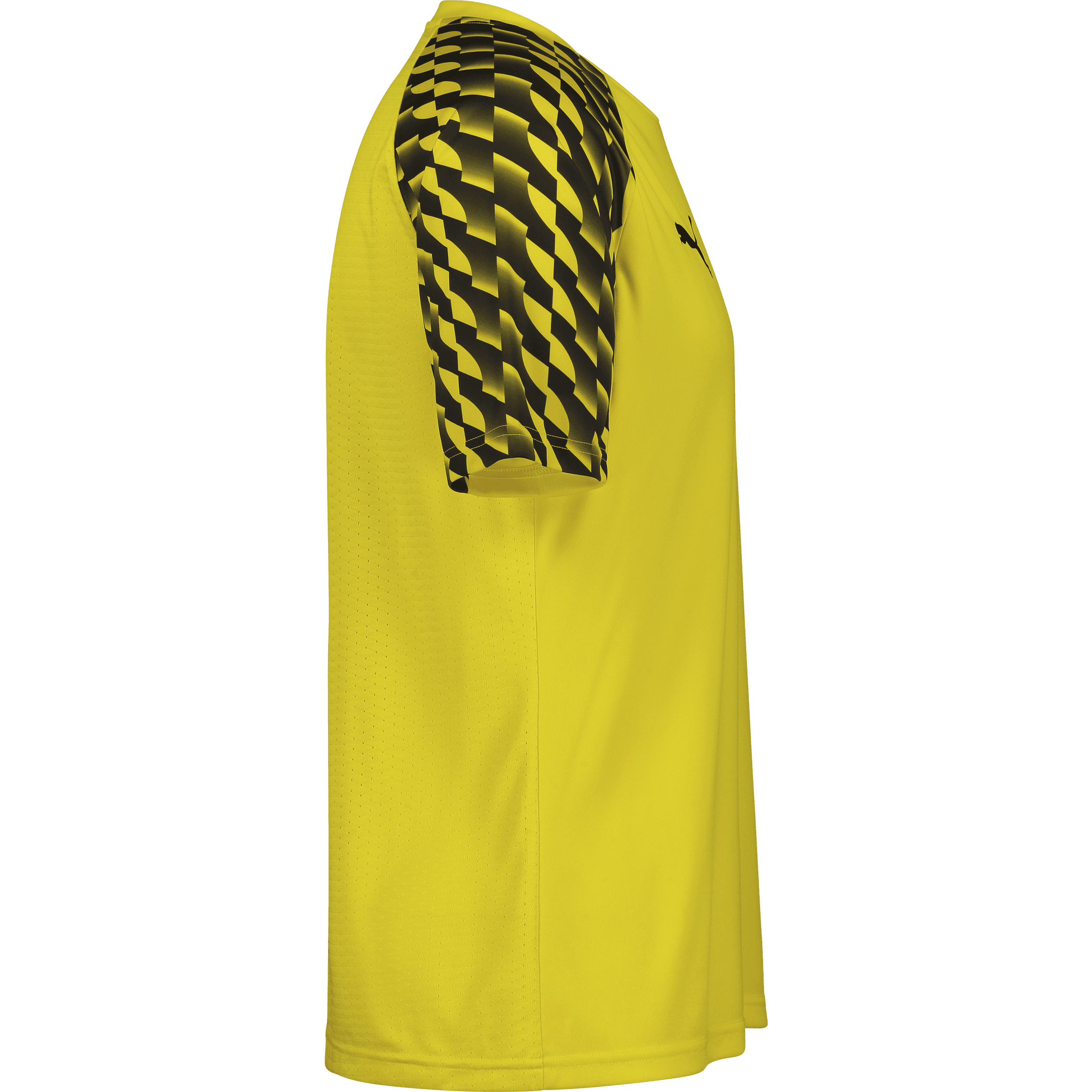 Puma, TEAMLIGA26 JERSEY-15253, Unknown 0