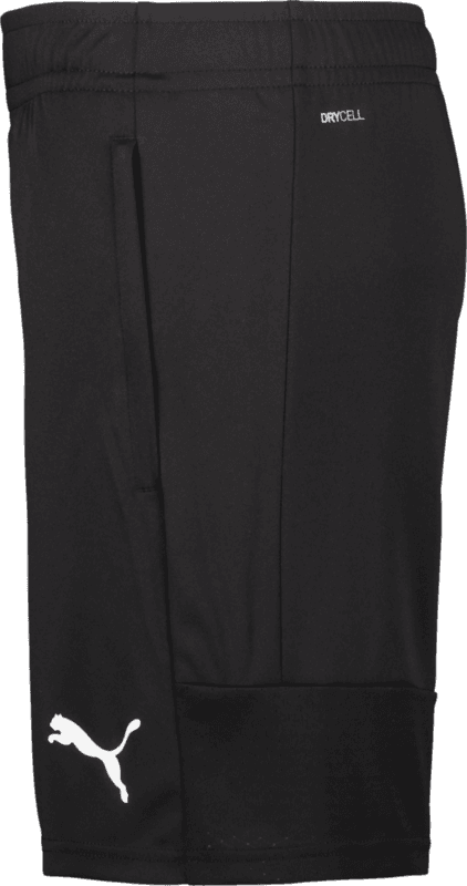Puma, TEAMLIGA TRAINING SHORTS-153843, Unknown 0