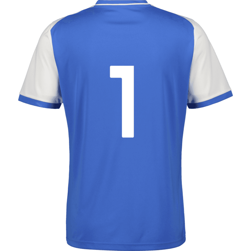 Puma, TEAMLIGA26 MATCHDAY JERSEY-159209, Unknown 0