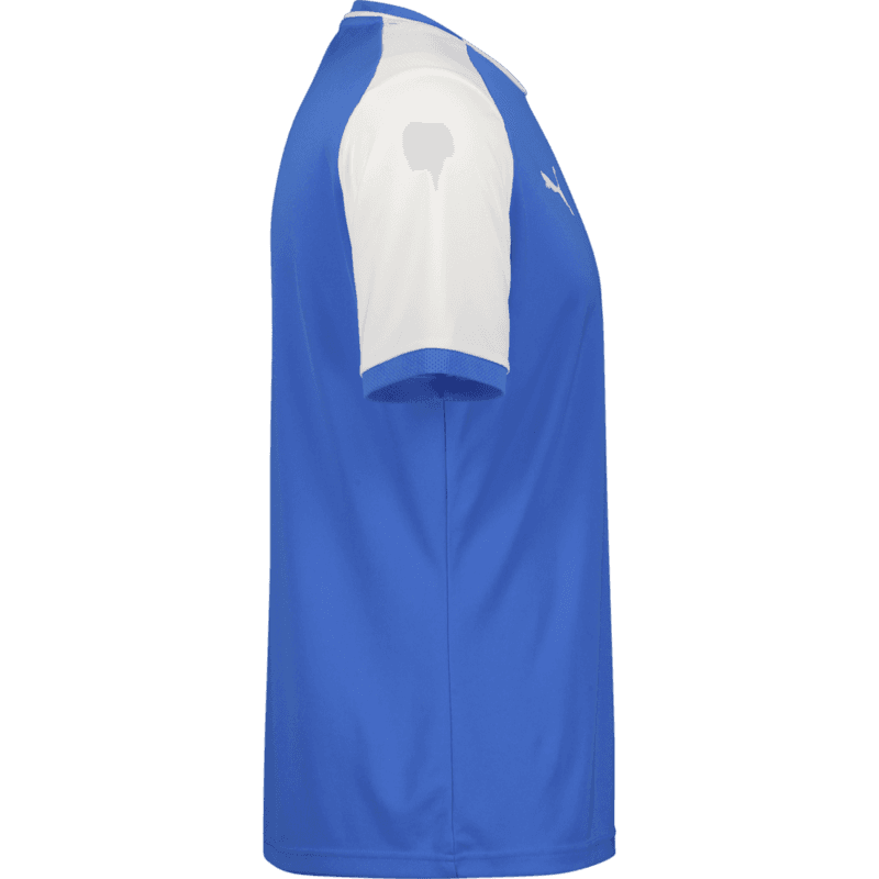 Puma, TEAMLIGA26 MATCHDAY JERSEY-159209, Unknown 0