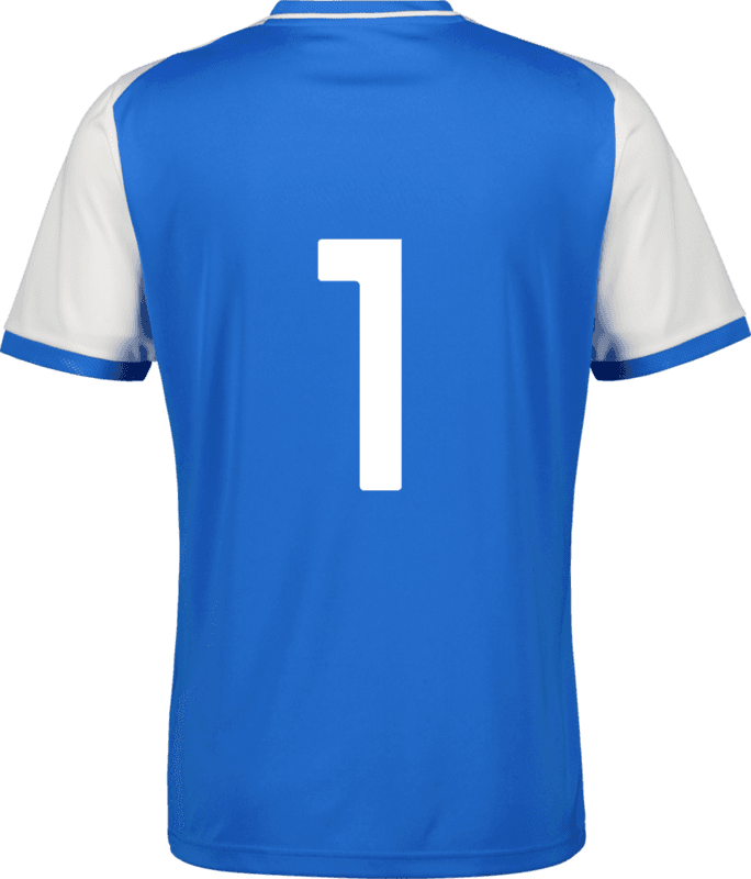 Puma, TEAMLIGA26 MATCHDAY JERSEY JR-159210, Unknown 0