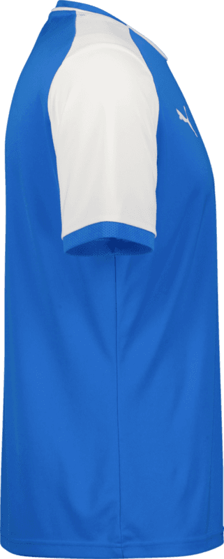 Puma, TEAMLIGA26 MATCHDAY JERSEY JR-159210, Unknown 0