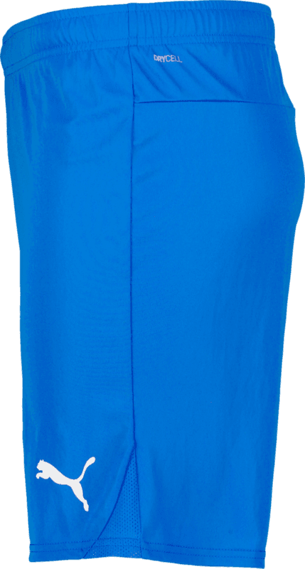 Puma, T Goal Shorts-16987, Unknown 0