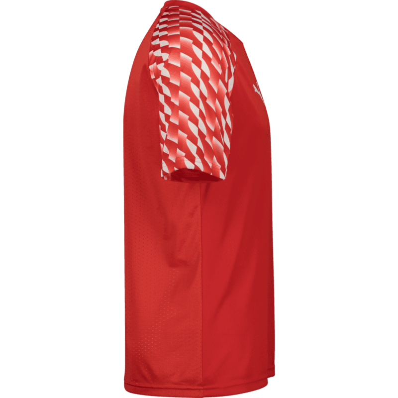 Puma, TEAMLIGA26 JERSEY-17086, Unknown 0