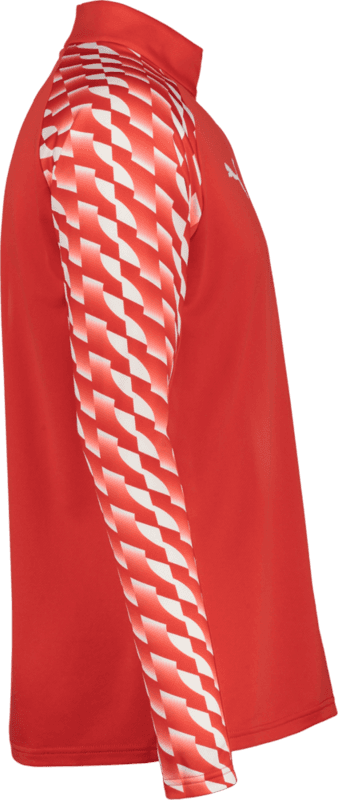 Puma, TEAMLIGA26 TRAINING 1/4 ZIP TOP JR-17095, Unknown 0