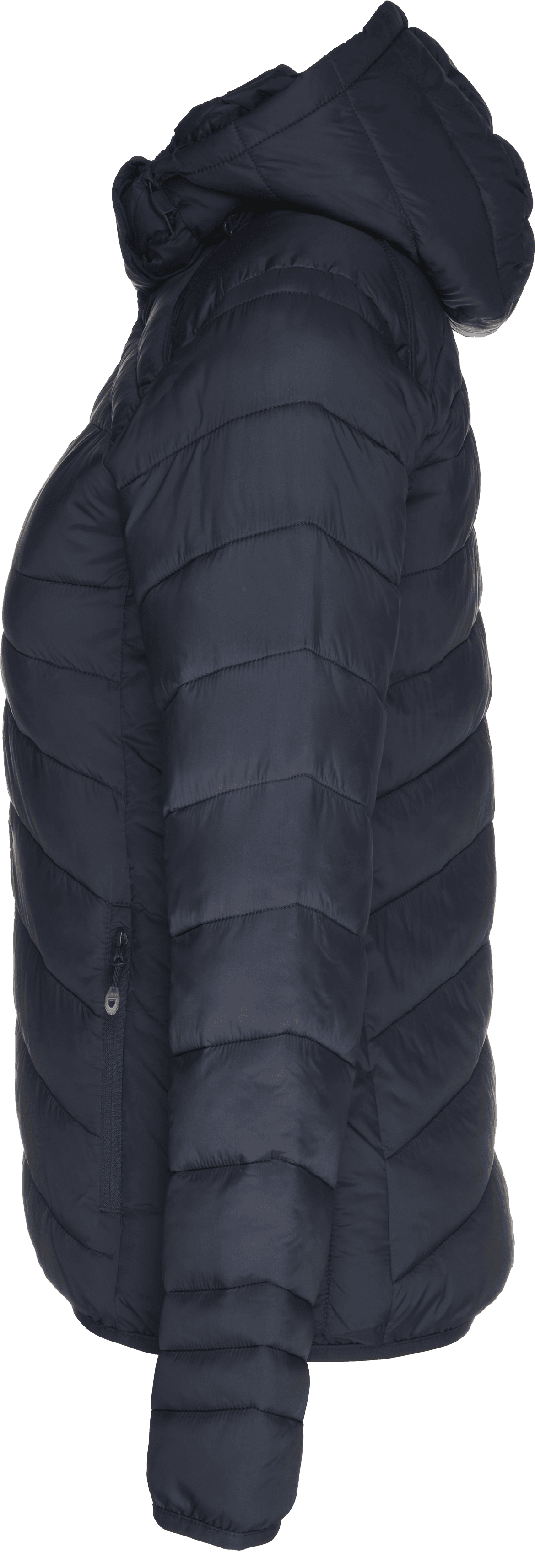 Clique, Idaho Jkt W-26791, Unknown 0