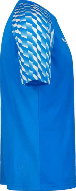Puma, TEAMLIGA26 JERSEY JR-52923, Unknown 0