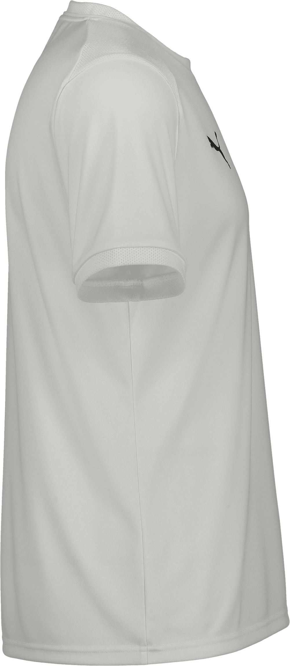Puma, TEAMLIGA26 MATCHDAY JERSEY JR-53797, Unknown 0