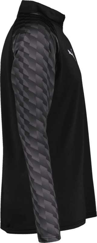 Puma, TEAMLIGA26 TRAINING 1/4 ZIP TOP JR-5396, Unknown 0
