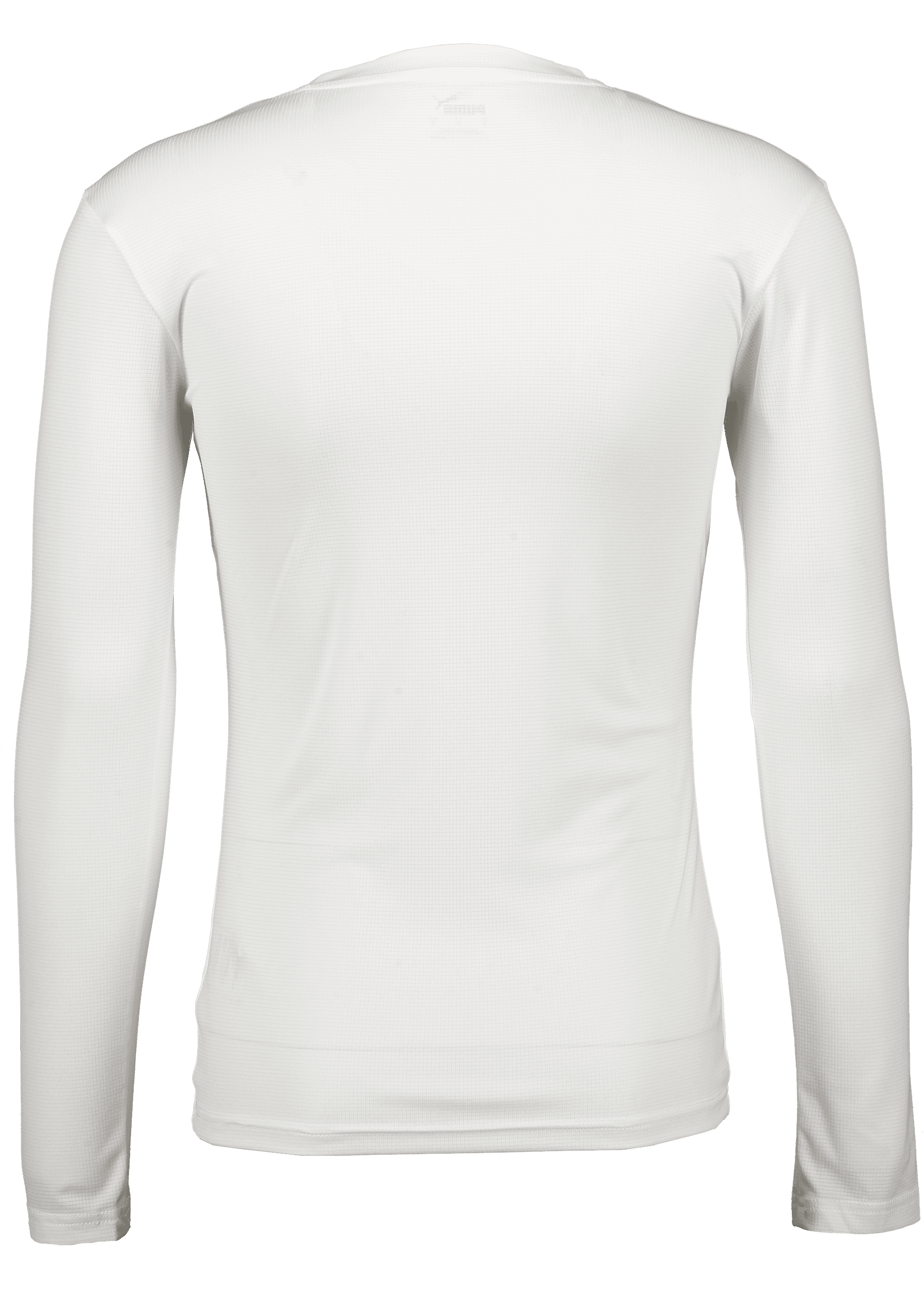 Puma, T Goal Bl Ls Jsy-53977, Unknown 0