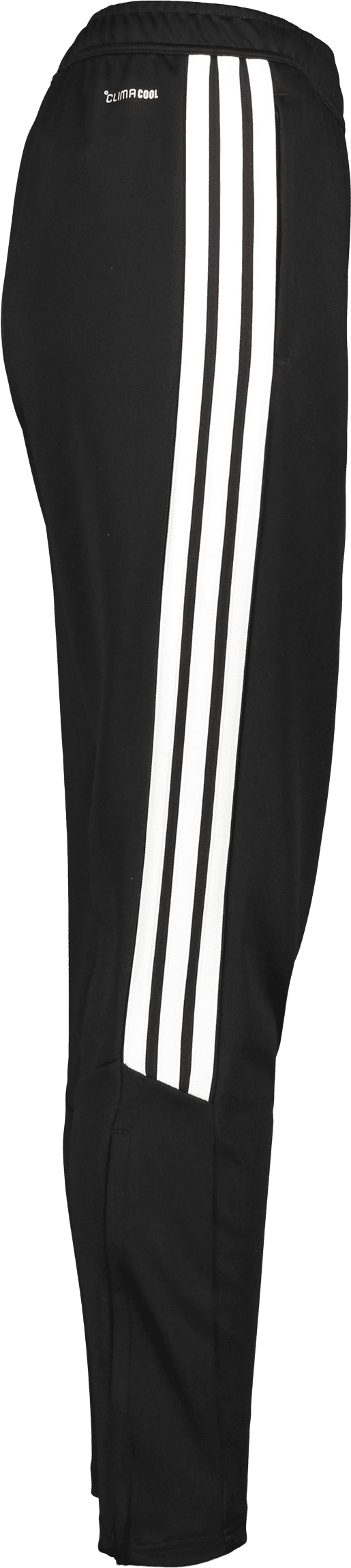Adidas, TIRO26 L PNT W-63406, Unknown 0
