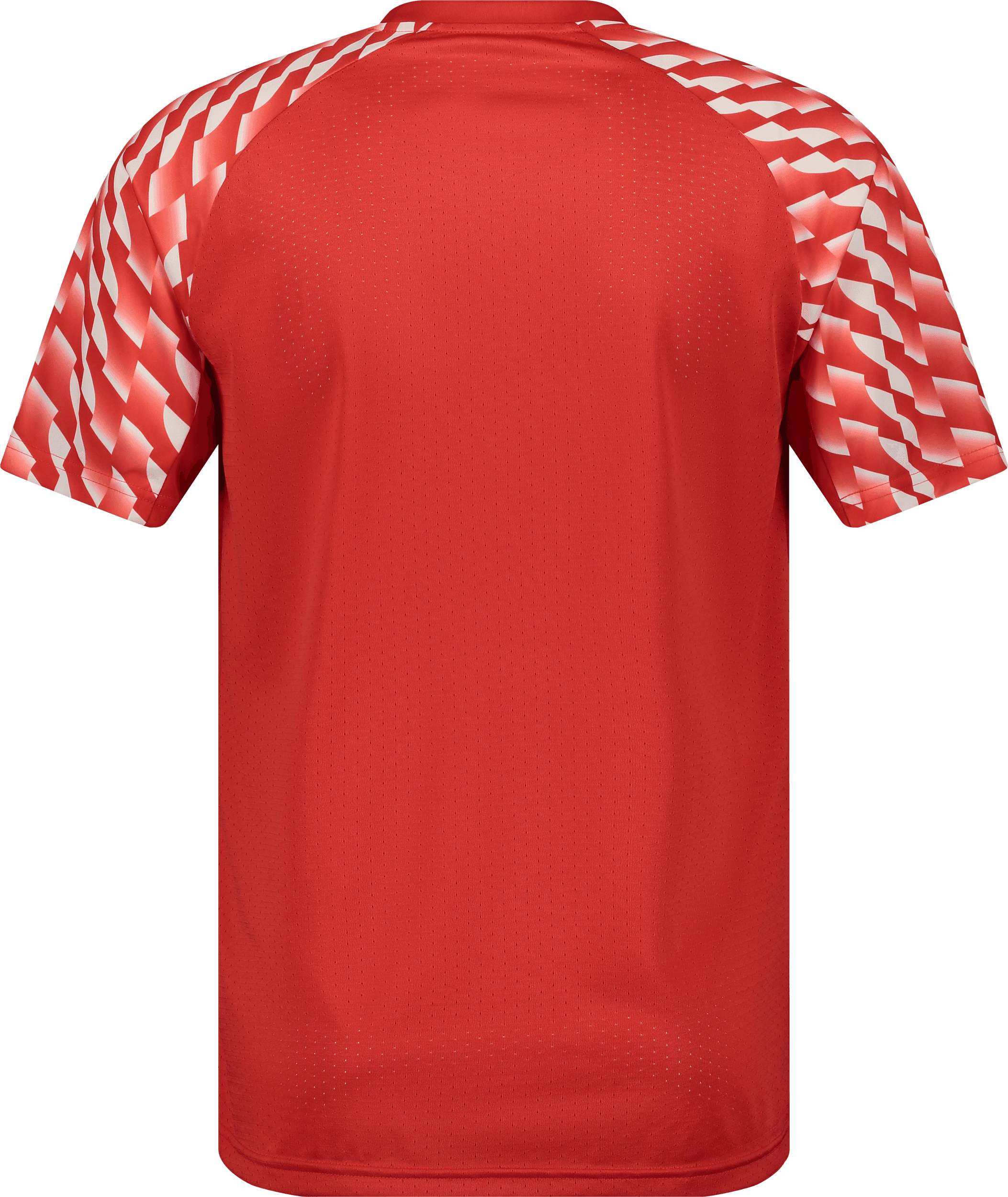 Puma, TEAMLIGA26 JERSEY JR-69108, Unknown 0