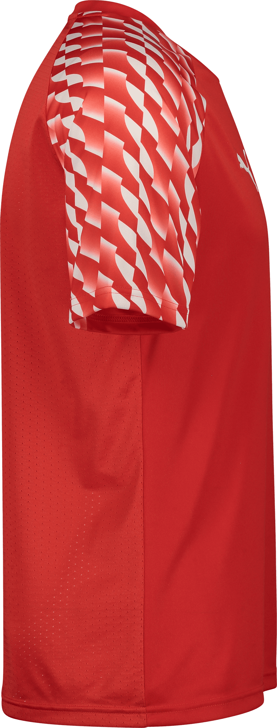 Puma, TEAMLIGA26 JERSEY JR-69108, Unknown 0