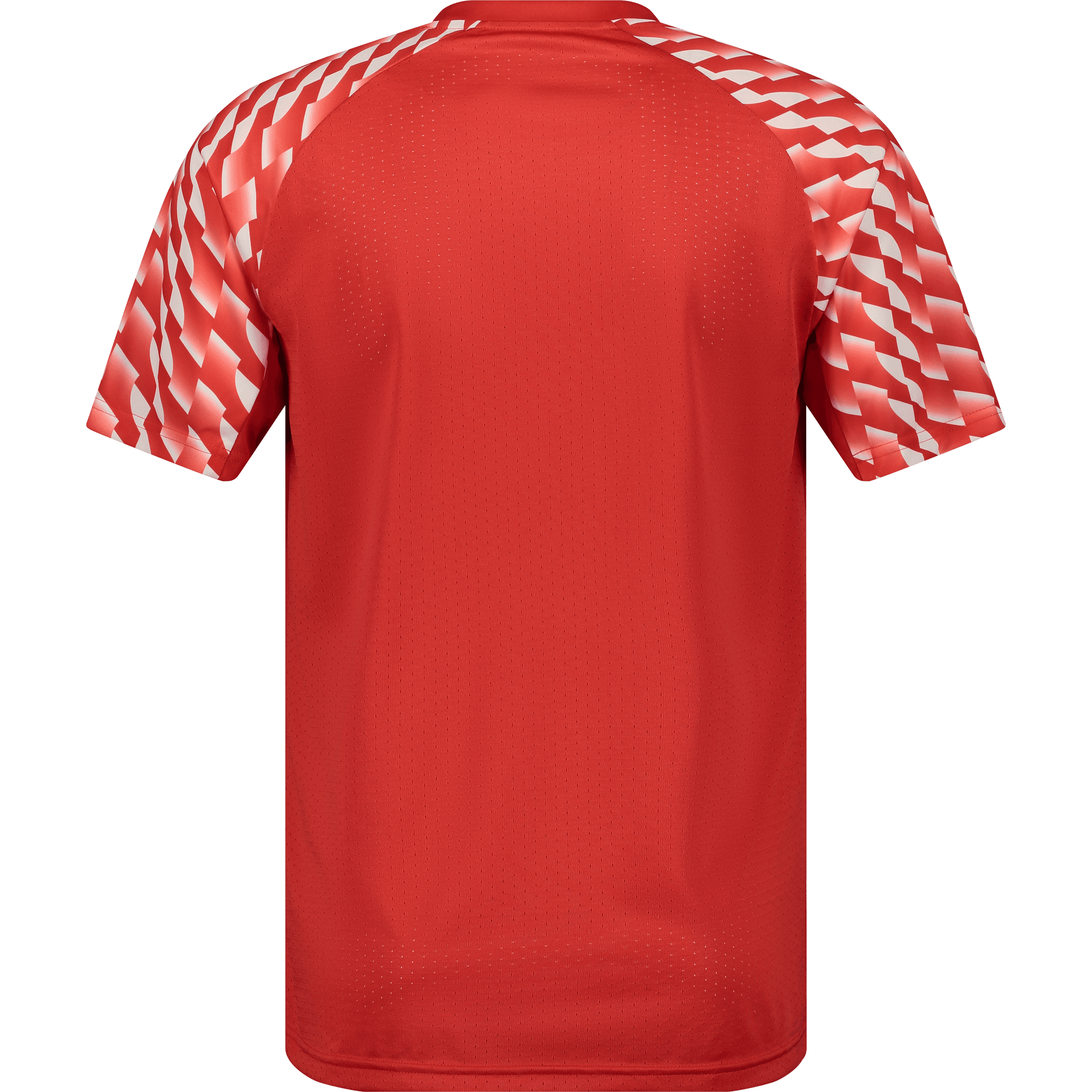 Puma, TEAMLIGA26 JERSEY-69131, Unknown 0