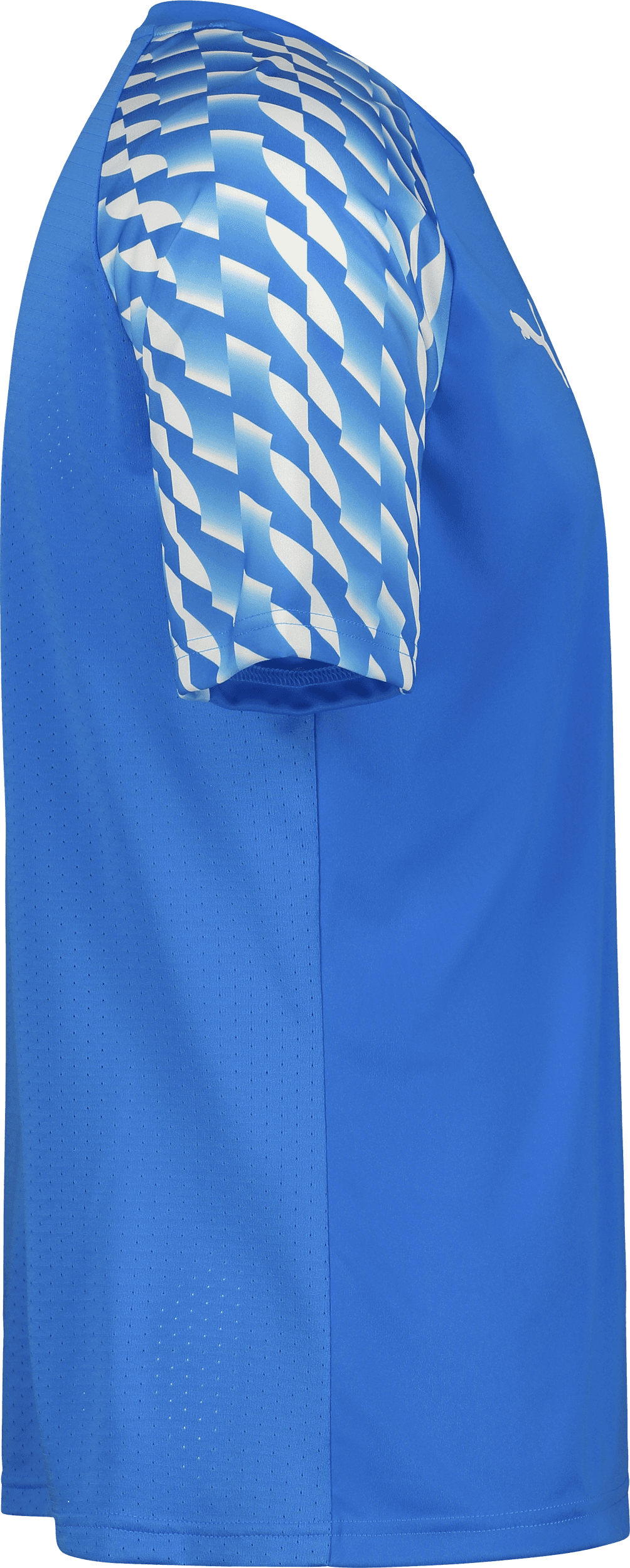 Puma, TEAMLIGA26 JERSEY-69792, Unknown 0