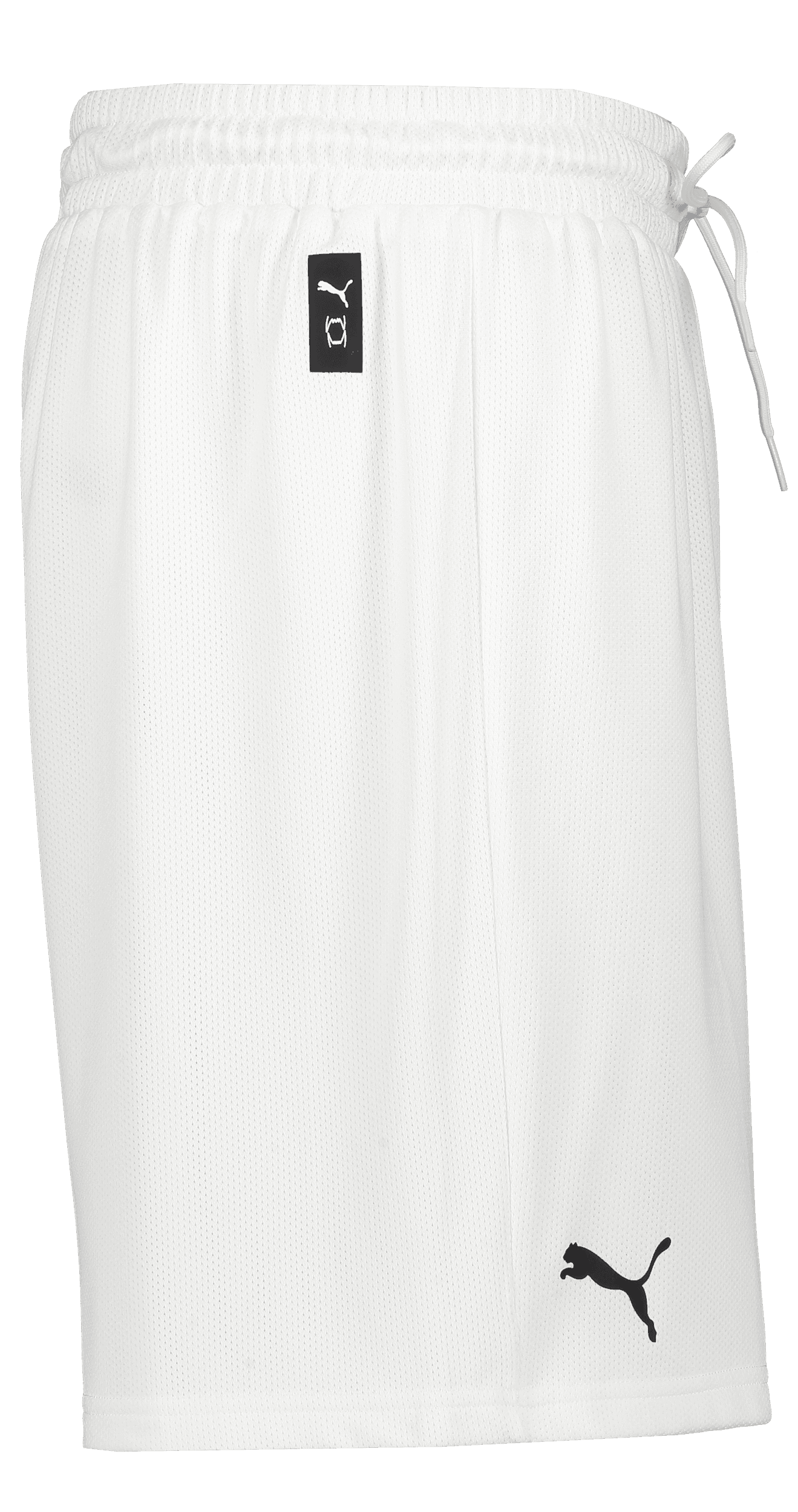 Puma, Hoops Team Practice Short-78383, Unknown 0
