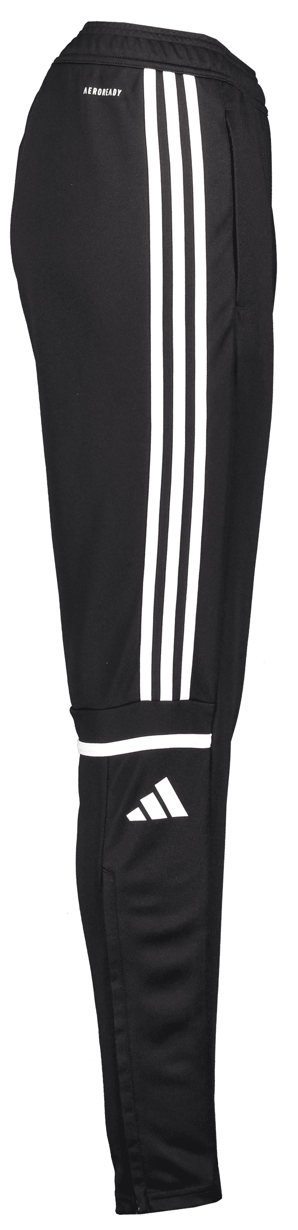 Adidas, Squad25 Tr Pnt W-81825, Unknown 0