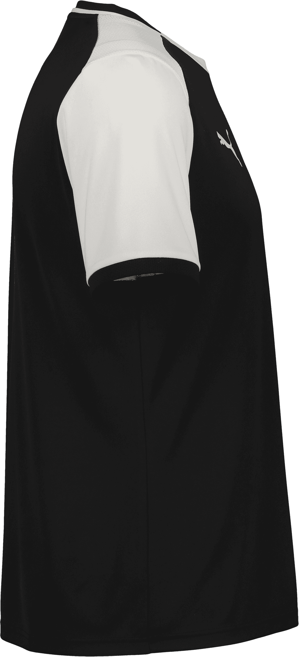 Puma, TEAMLIGA26 MATCHDAY JERSEY JR-85036, Unknown 0