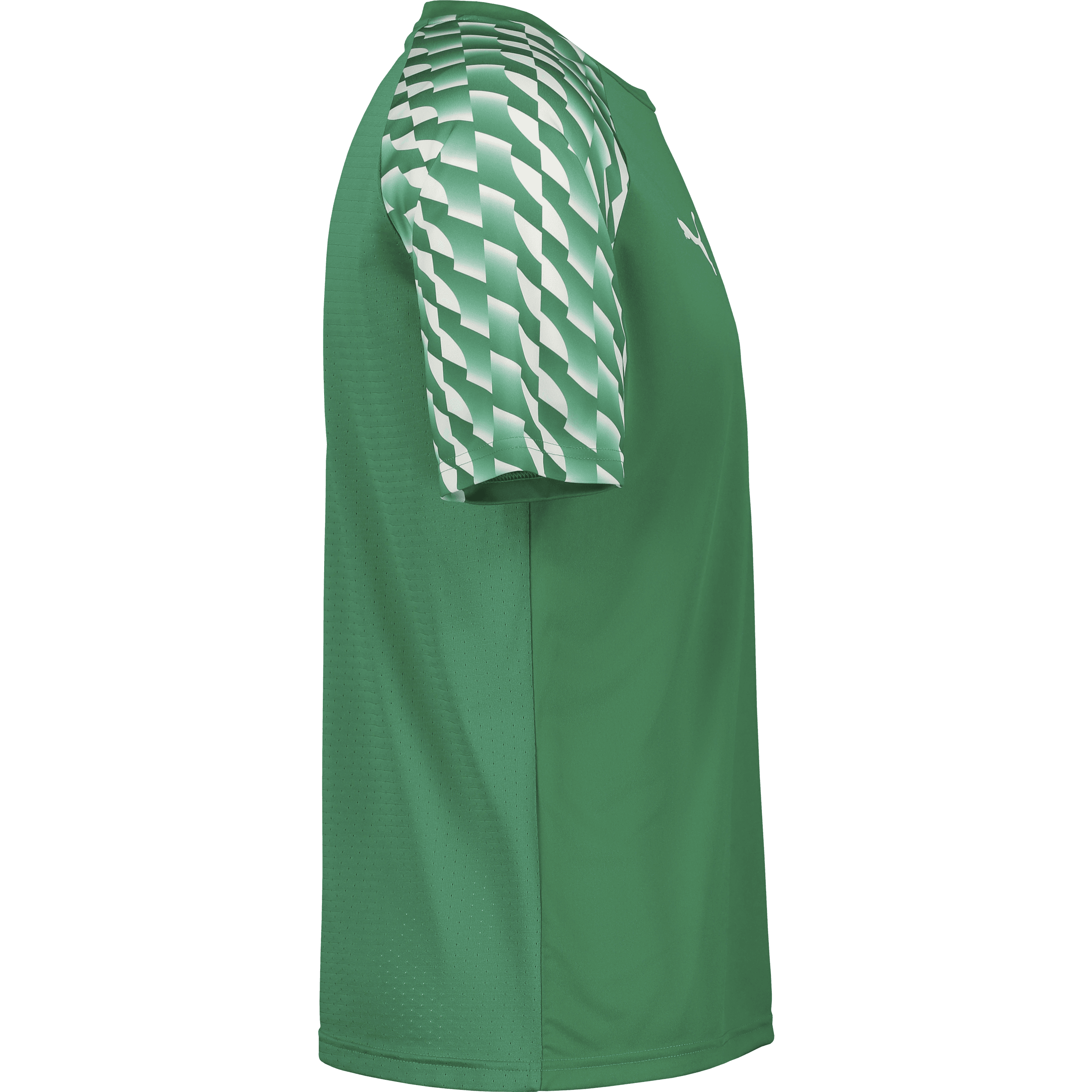 Puma, TEAMLIGA26 JERSEY-85051, Unknown 0