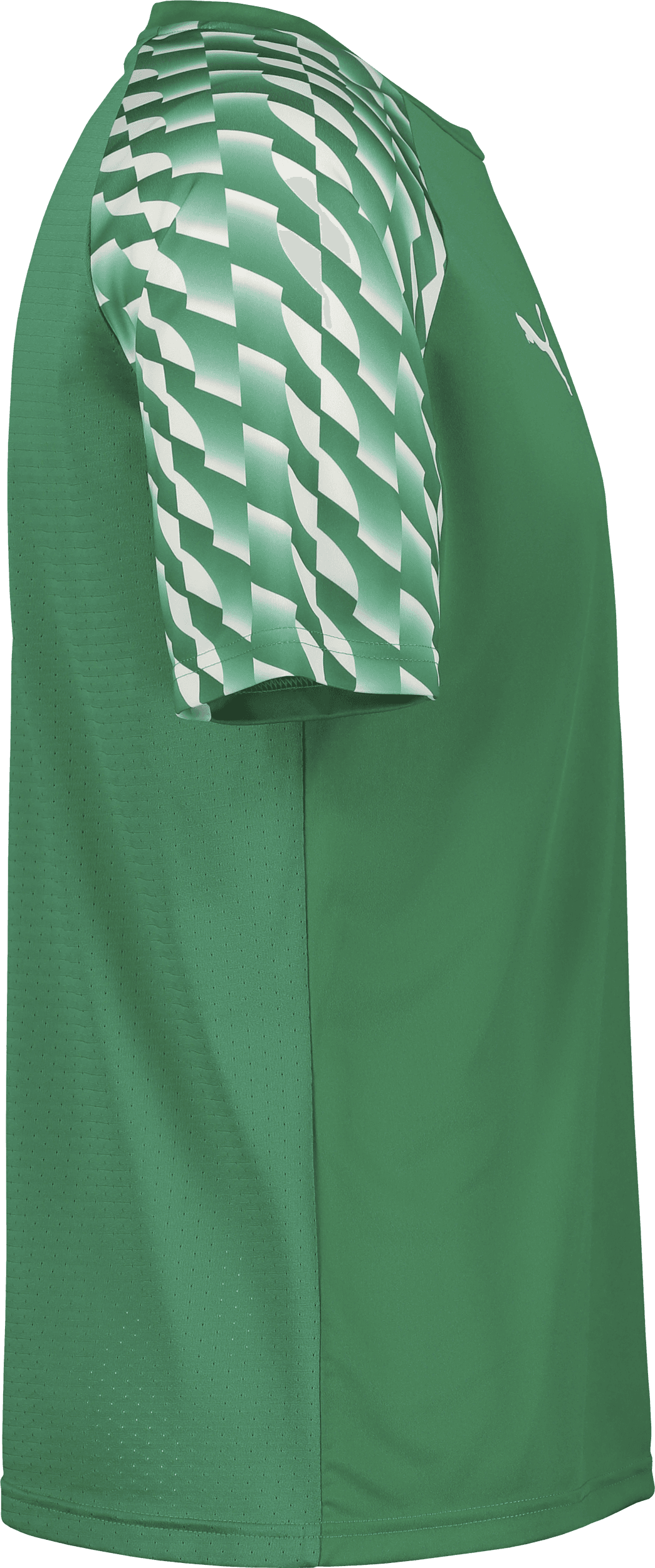 Puma, TEAMLIGA26 JERSEY JR-85073, Unknown 0